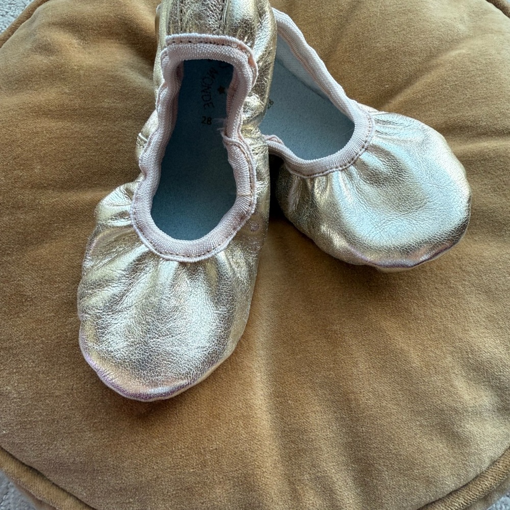 Tutu Du Monde Gold and Pink 🩰 + (used) Pink Leather Ballet Flats
